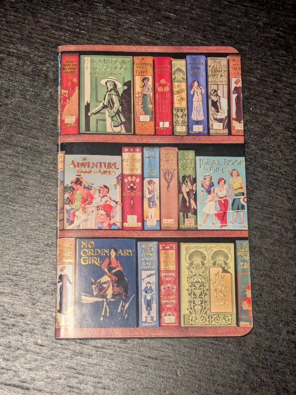 New Flame Tree Publishing Bookshelf bookshelves mini pocket lined notebook